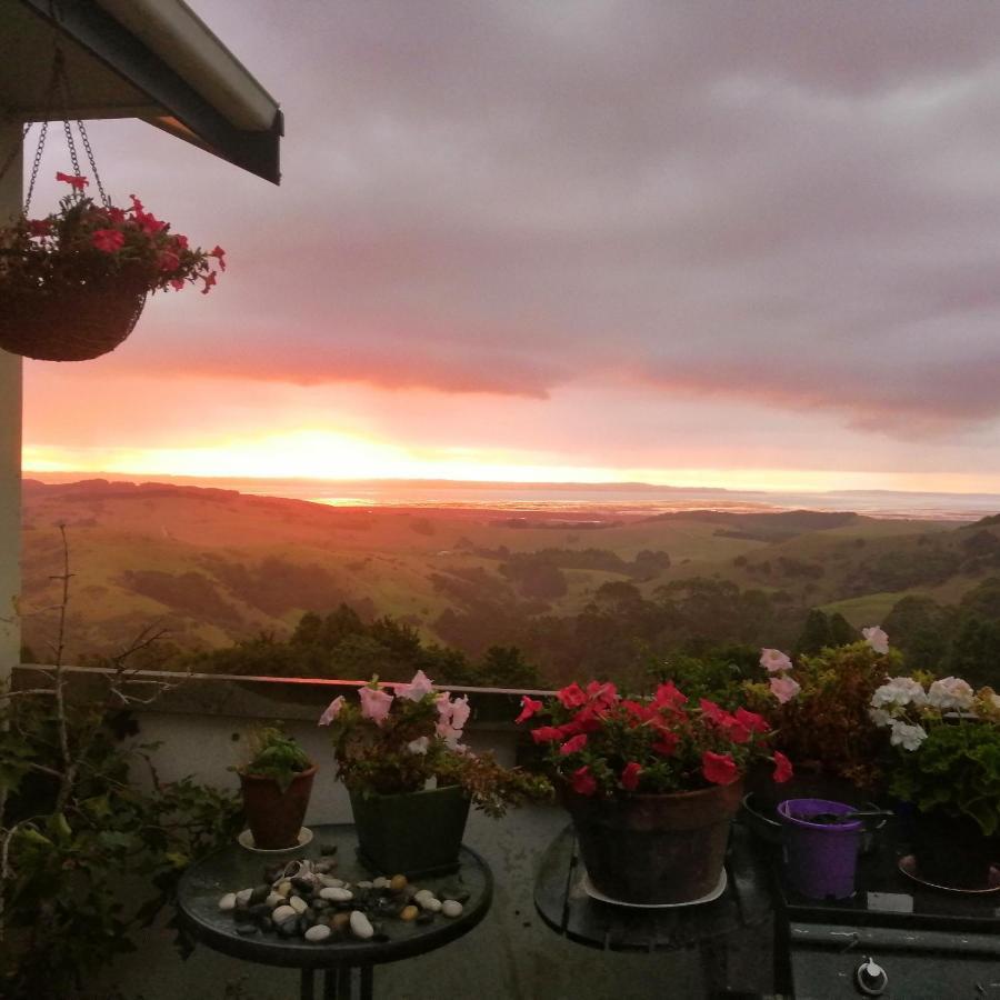Glorit Kaipara Views Eco Lodge מראה חיצוני תמונה